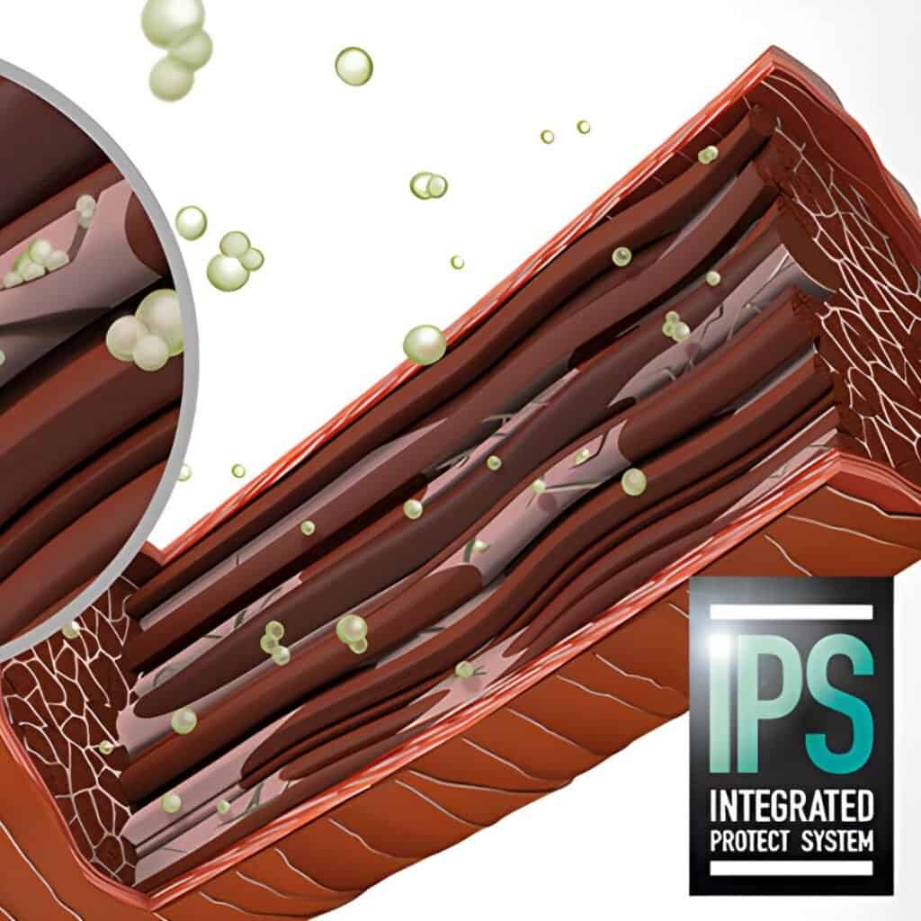 INTEGRATED PROTECT SYSTEM – IPS