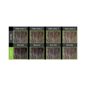 GOLDWELL MEN RESHADE SET DEV CONC 250ML + APPL. - Image 3